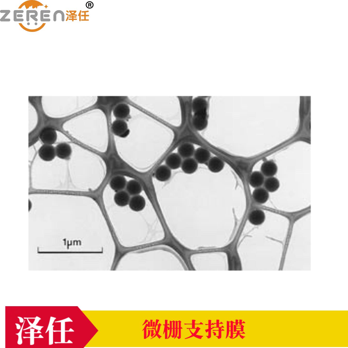 200目镍网微栅配合膜01882N